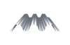 Arata imaginea-nr0